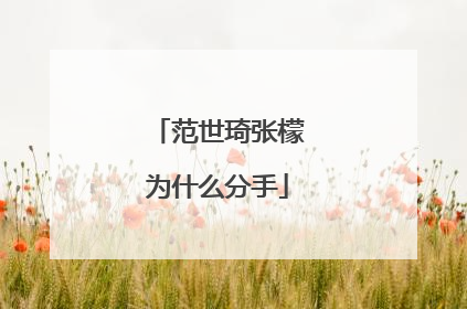范世琦张檬为什么分手