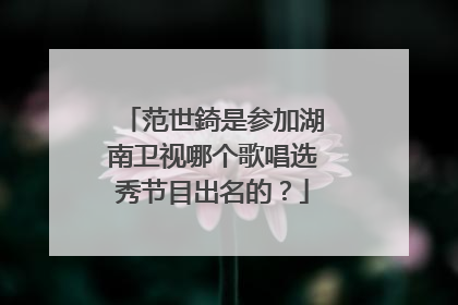 范世錡是参加湖南卫视哪个歌唱选秀节目出名的？