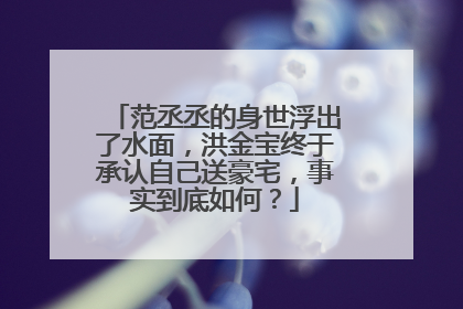 范丞丞的身世浮出了水面，洪金宝终于承认自己送豪宅，事实到底如何？
