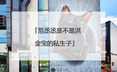 范丞丞是不是洪金宝的私生子