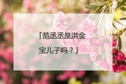 范丞丞是洪金宝儿子吗?