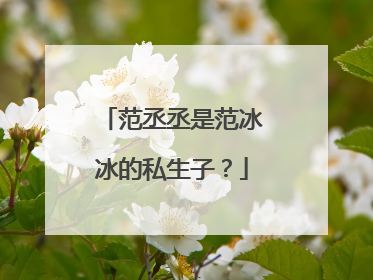 范丞丞是范冰冰的私生子?