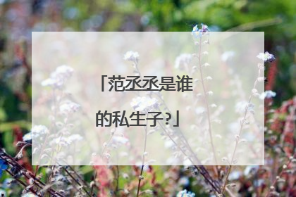 范丞丞是谁的私生子?