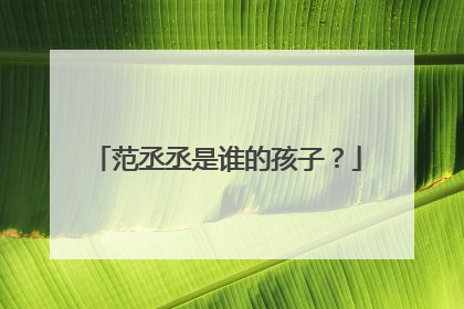 范丞丞是谁的孩子？