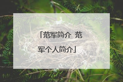 范军简介 范军个人简介