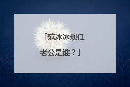 范冰冰现任老公是谁？