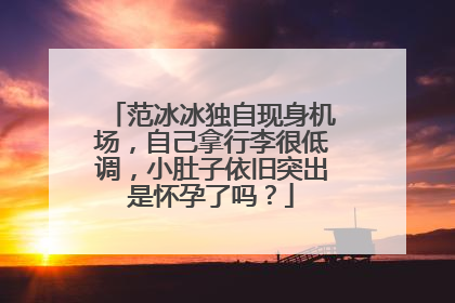 范冰冰独自现身机场,自己拿行李很低调,小肚子依旧突出是怀孕了吗?