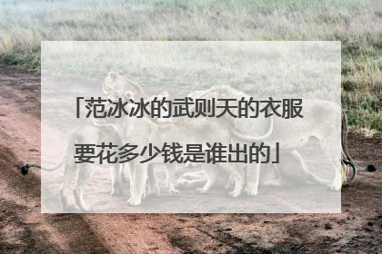 范冰冰的武则天的衣服要花多少钱是谁出的