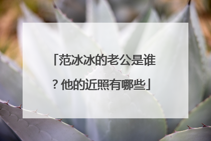 范冰冰的老公是谁？他的近照有哪些