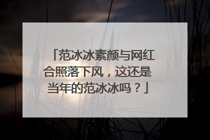 范冰冰素颜与网红合照落下风，这还是当年的范冰冰吗？