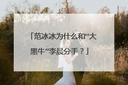 范冰冰为什么和“大黑牛”李晨分手?