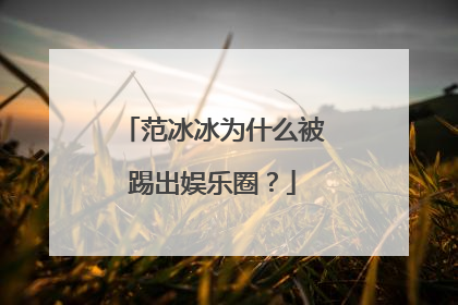 范冰冰为什么被踢出娱乐圈？