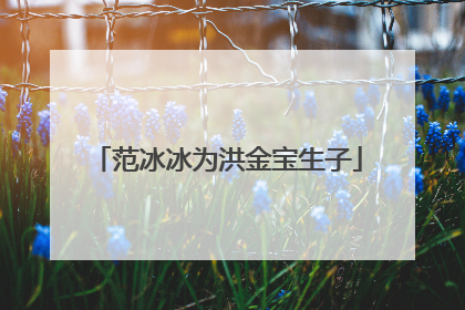 范冰冰为洪金宝生子