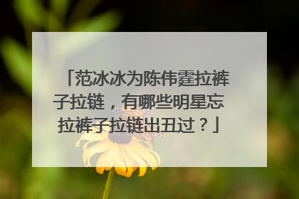 范冰冰为陈伟霆拉裤子拉链,有哪些明星忘拉裤子拉链出丑过?
