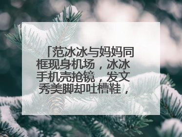 范冰冰与妈妈同框现身机场，冰冰手机壳抢镜，发文秀美脚却吐槽鞋，为什么？