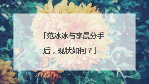 范冰冰与李晨分手后，现状如何？