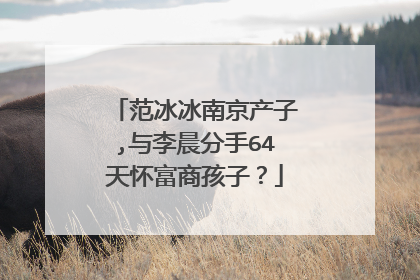 范冰冰南京产子,与李晨分手64天怀富商孩子?