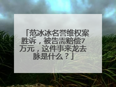 范冰冰名誉维权案胜诉，被告需赔偿7万元，这件事来龙去脉是什么？