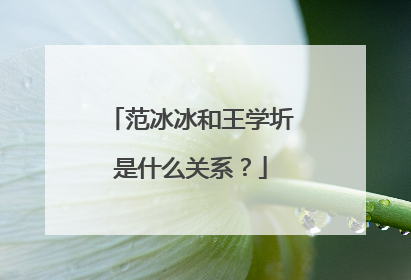 范冰冰和王学圻是什么关系?