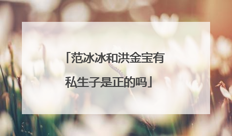范冰冰和洪金宝有私生子是正的吗