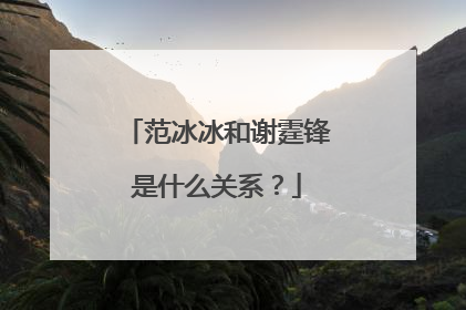 范冰冰和谢霆锋是什么关系？