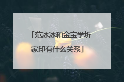 范冰冰和金宝学圻家印有什么关系