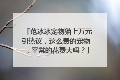 范冰冰宠物猫上万元引热议，这么贵的宠物，平常的花费大吗？