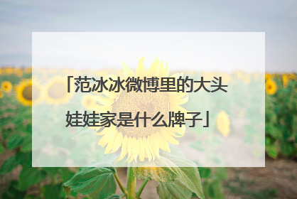 范冰冰微博里的大头娃娃家是什么牌子