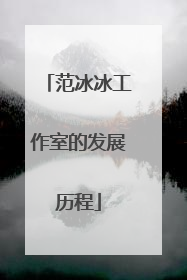 范冰冰工作室的发展历程