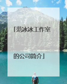 范冰冰工作室的公司简介