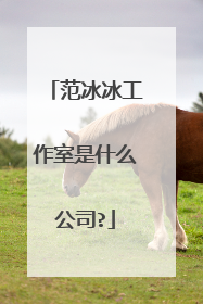 范冰冰工作室是什么公司?