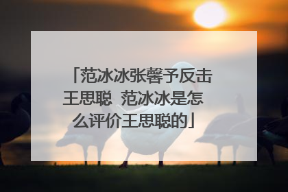 范冰冰张馨予反击王思聪 范冰冰是怎么评价王思聪的