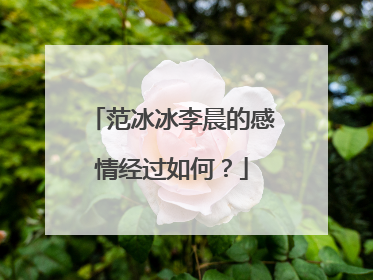 范冰冰李晨的感情经过如何？
