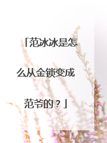 范冰冰是怎么从金锁变成范爷的?