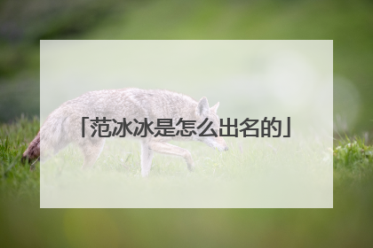 范冰冰是怎么出名的