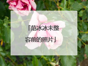 范冰冰未整容前的照片