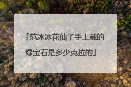 范冰冰花仙子手上戴的绿宝石是多少克拉的