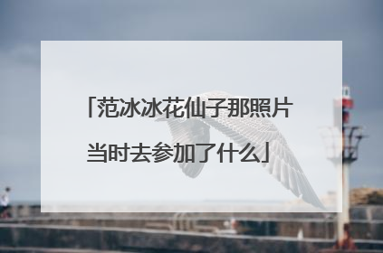 范冰冰花仙子那照片当时去参加了什么