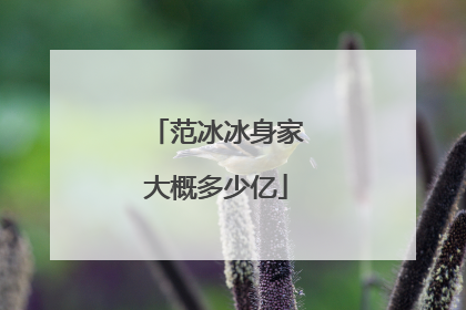 范冰冰身家大概多少亿