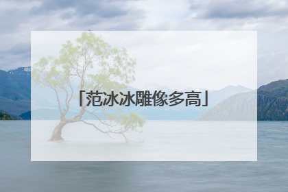 范冰冰雕像多高