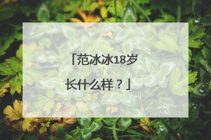 范冰冰18岁长什么样？