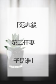 范志毅第二任妻子是谁