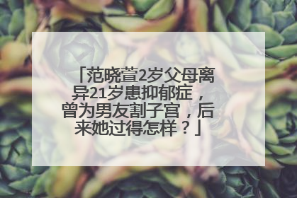 范晓萱2岁父母离异21岁患抑郁症，曾为男友割子宫，后来她过得怎样？