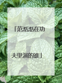 范湉湉在功夫里演的谁