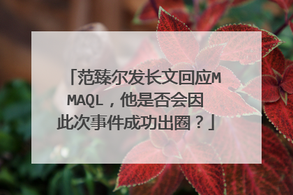 范臻尔发长文回应MMAQL，他是否会因此次事件成功出圈？