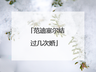 范迪塞尔结过几次婚