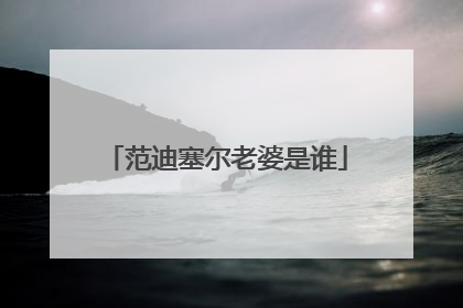 范迪塞尔老婆是谁