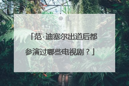 范·迪塞尔出道后都参演过哪些电视剧？