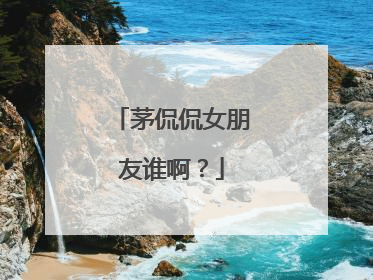 茅侃侃女朋友谁啊？