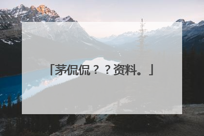 茅侃侃？？资料。